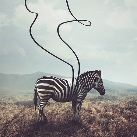 دانلود آهنگ بی وفایی علی شهر آبادی